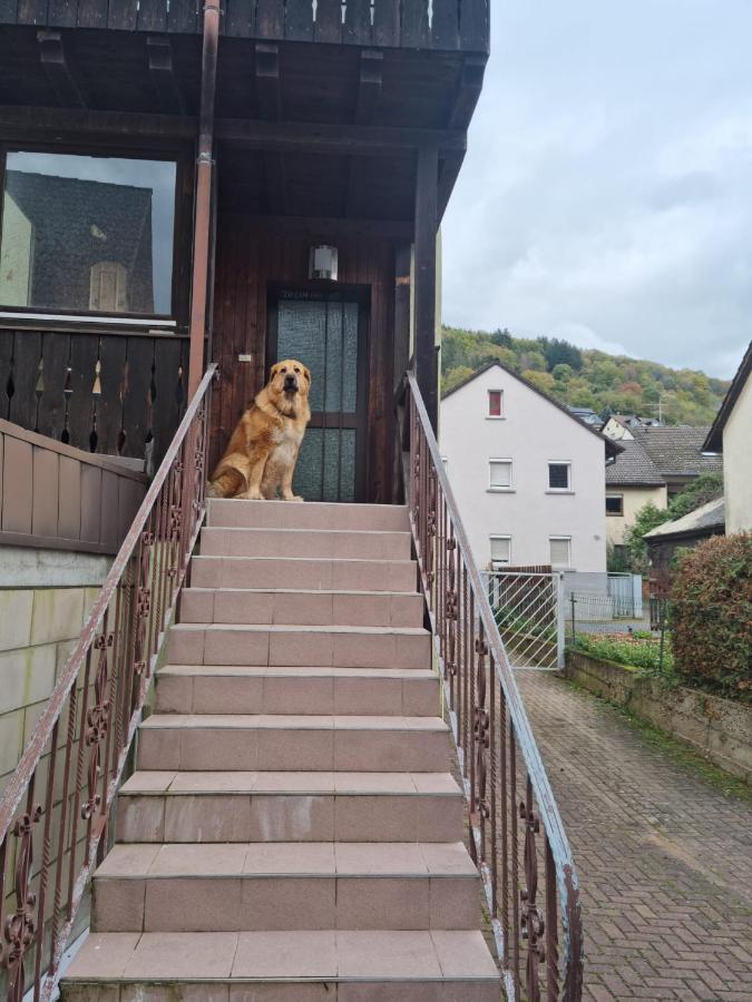 Vila Main Zu Hause Eichenbuhl  Exteriér fotografie